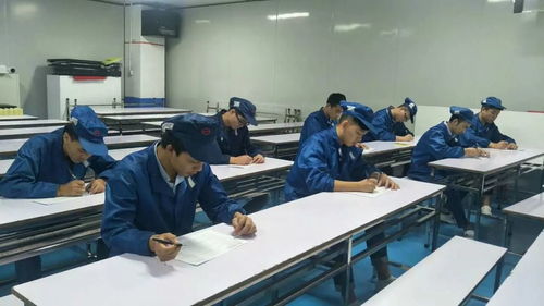 掌握職業技能，增值自我人生——第一工廠工程技術崗位評審認證與信息技術咨詢服務解析